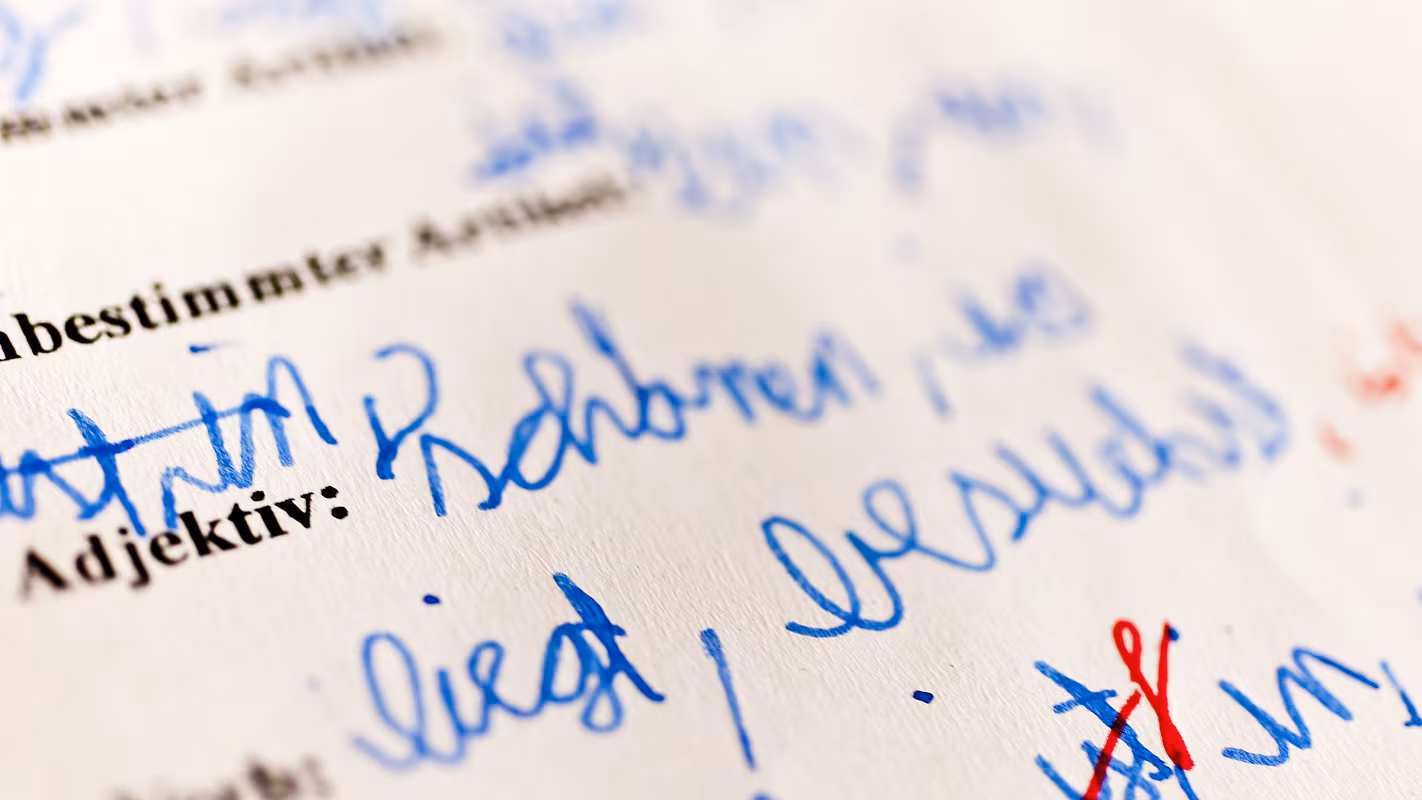 Viele Fehler im Diktat oder Aufsatz können ein erstes Anzeichen für LRS sein. Viele Fehler im Diktat oder Aufsatz können ein erstes Anzeichen für LRS sein.